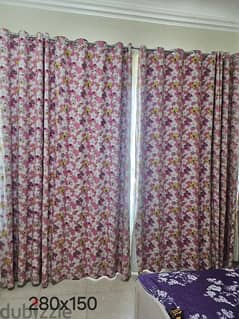 butterfly Curtains