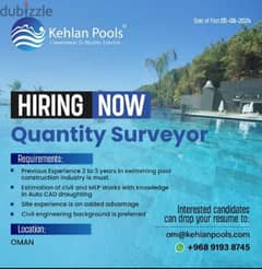 Looking for Quantity Surveyor 0