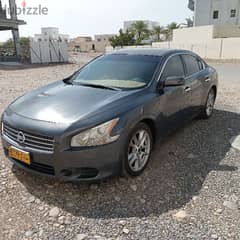 Nissan Maxima 2011