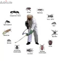 Pest Control Service with Gaurantee 0