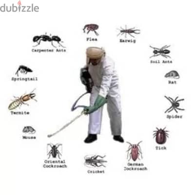 Pest Control Service with Gaurantee