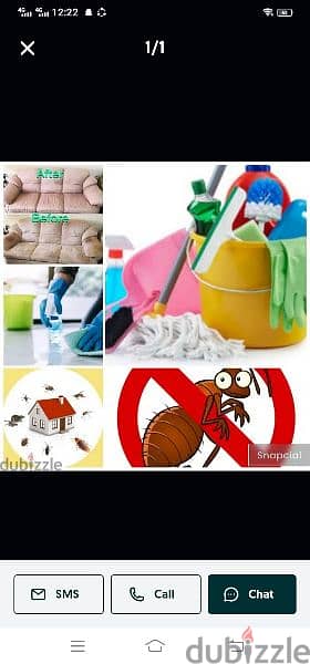 pest control services