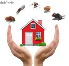 Quality pest control services and house cleaning 0