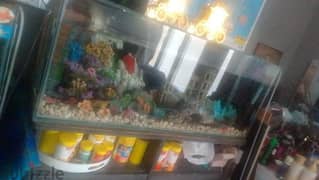 fish tank