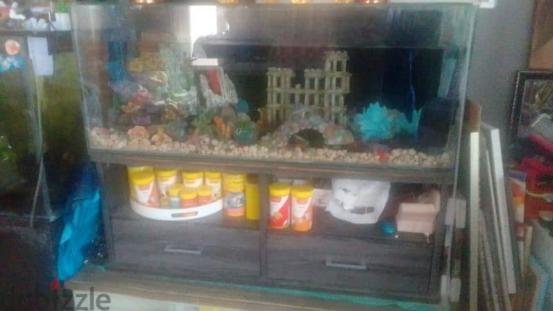 fish tank 3