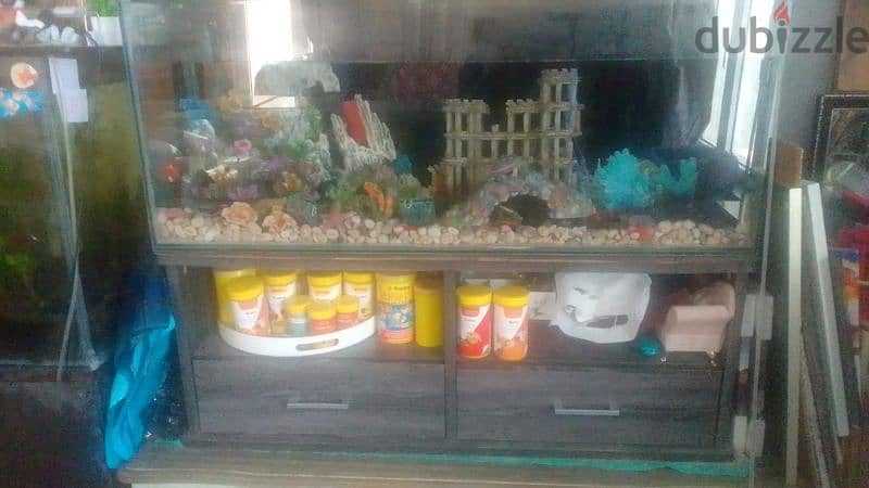 fish tank 4