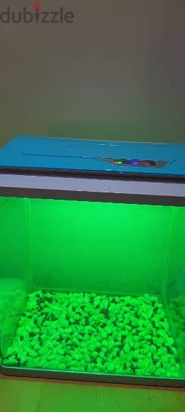 Small Aquarium For Sale 2