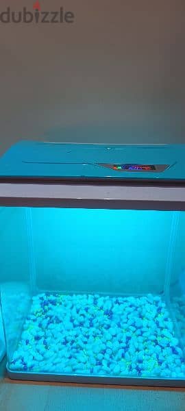 Small Aquarium For Sale 3