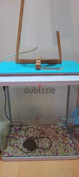 Small Aquarium For Sale 4