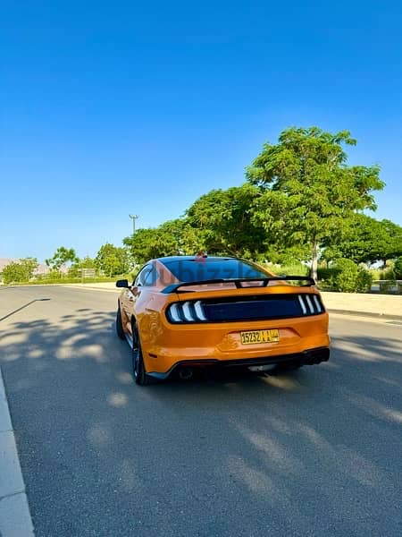 Ford Mustang 2019 2