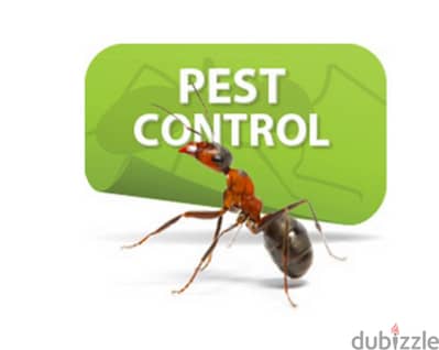 Quality pest control services and house cleaning