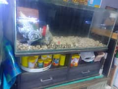 fish tank for sale with table 0