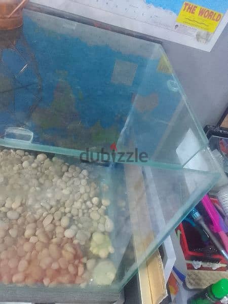 fish tank for sale with table 1