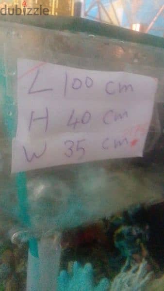 fish tank for sale with table 2