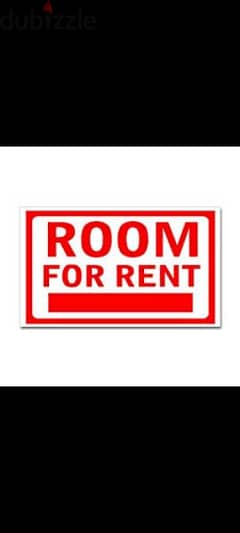 Single Room for rent 0