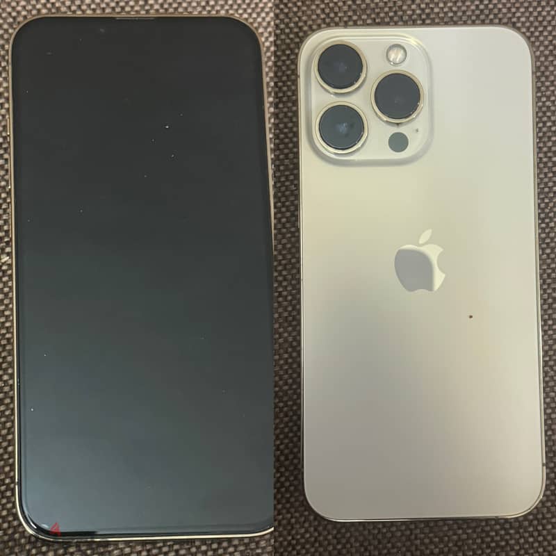 iPhone 13 Pro 0