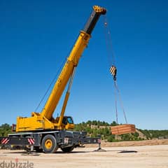 Cranes for Rent daily monthly basis 25 to 220 tons