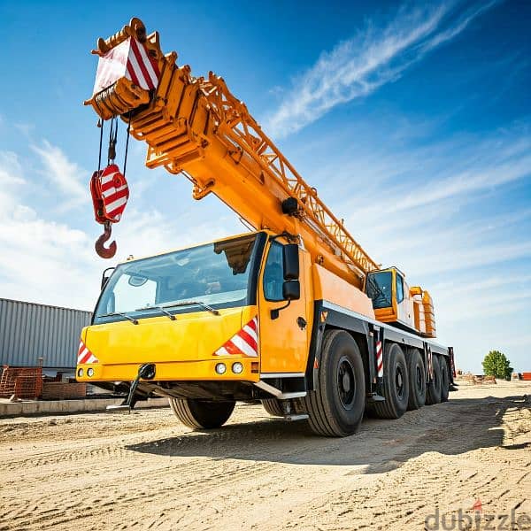 Cranes for Rent daily monthly basis 25 to 220 tons 1