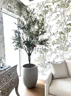 Realistic looking olive tree + pot for sale 0