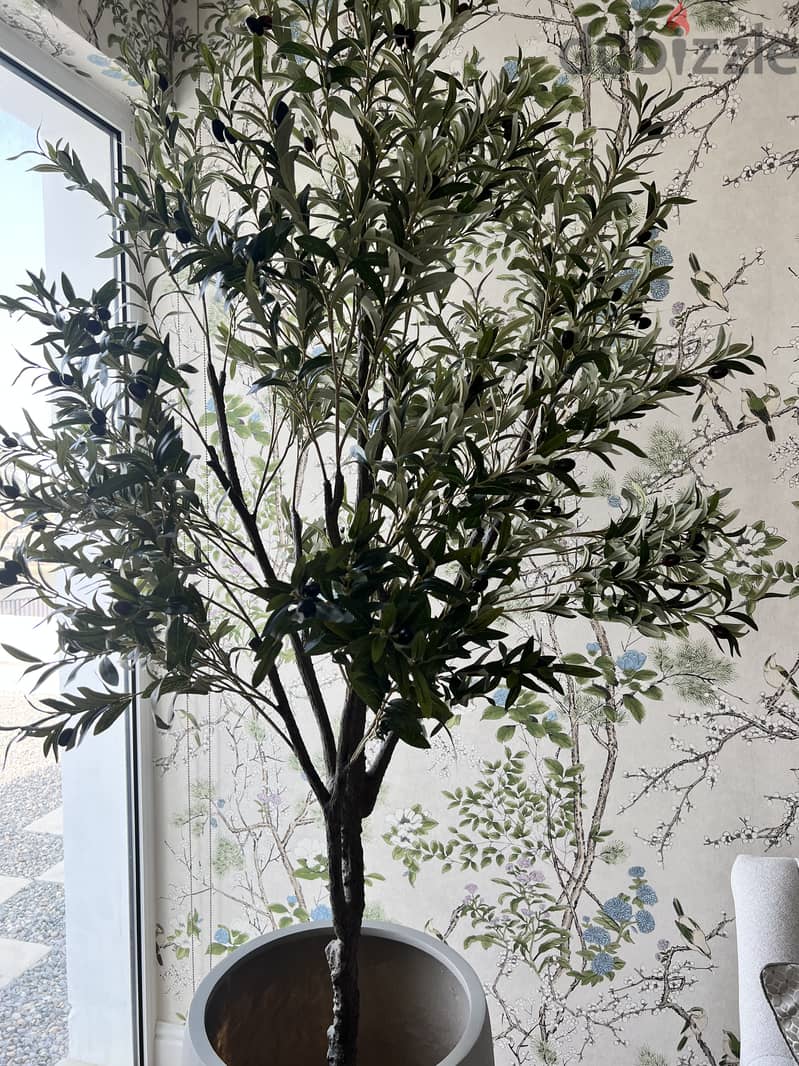 Realistic looking olive tree + pot for sale 1