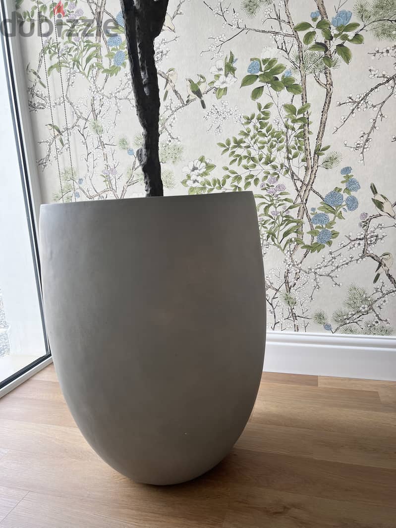 Realistic looking olive tree + pot for sale 2