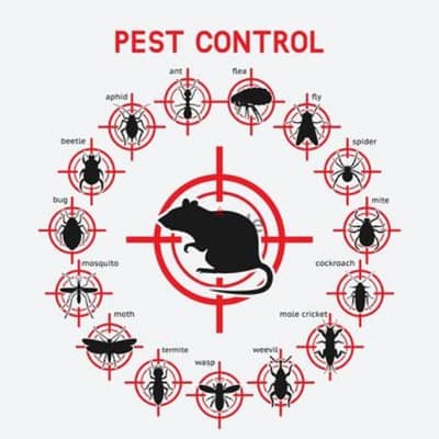 General pest control services