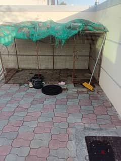 dog or birds cage for sale