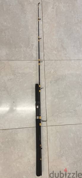 Fishing Rods 2pcs 3