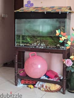 aquarium for sale