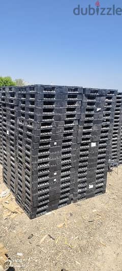 we have all types plastic and wooden pallets and boxes sale