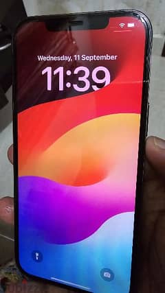 iphone 12 pro max 256gb