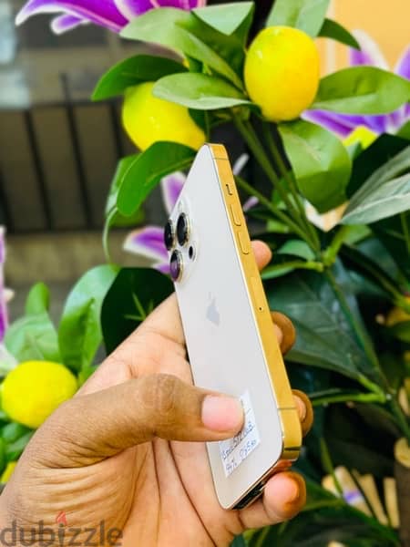 iPhone 13 pro 512 GB with 94% battery helth 2