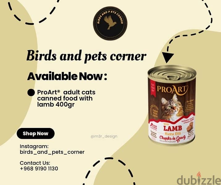 Cat and dog food and litter أكل قطط وكلاب ورمل القطط جودة ممتاز 10