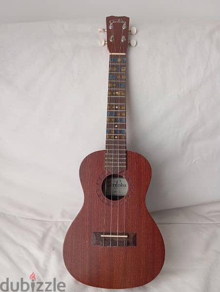 Concert Ukulele with Bag (Low G) 0