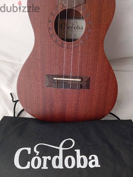 Concert Ukulele with Bag (Low G) 3