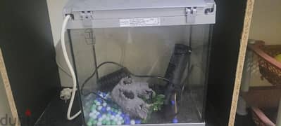 fish tank 0