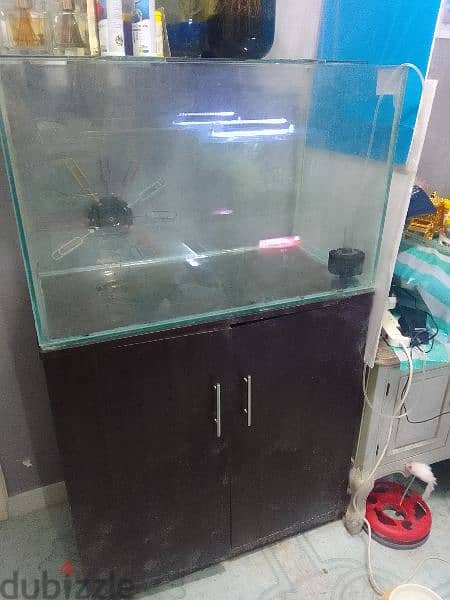 fish tank aquarium for sale 1