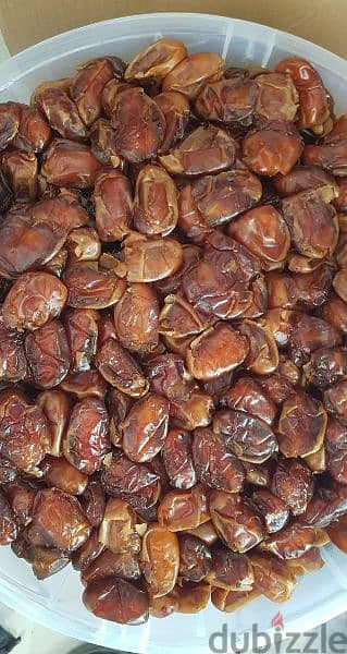 يتوفر تمور خلاص وفرض dates for sale 5