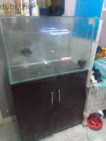 fish tank aquarium for sale 1