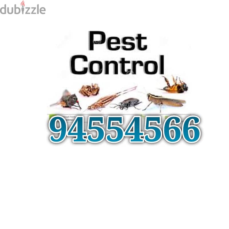 Quality pest control 2