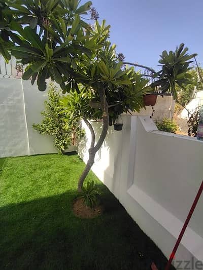 We have artificial grass Stones For Gardening Landscape Service