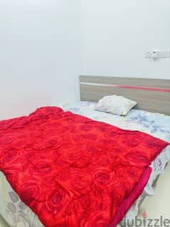 Fully Furnished flat 1BHK Available for 3 months