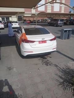 Elantra Taxi 2018 with number