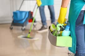 House cleaning villa office apartment & kitchen deep cleaning service