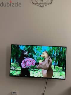 hisense 43inch led