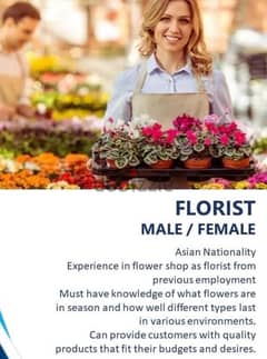 searching for florist