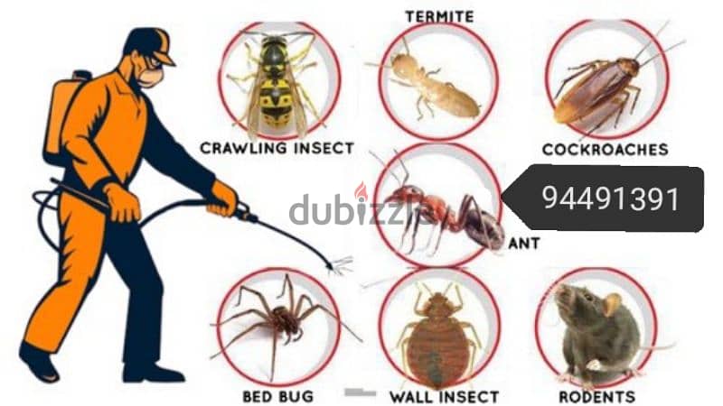 We have professional pest control service's & fogging also have 5