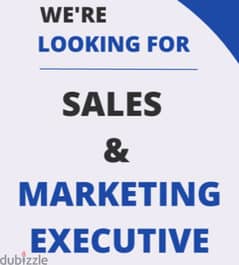 We are looking for a sales executives