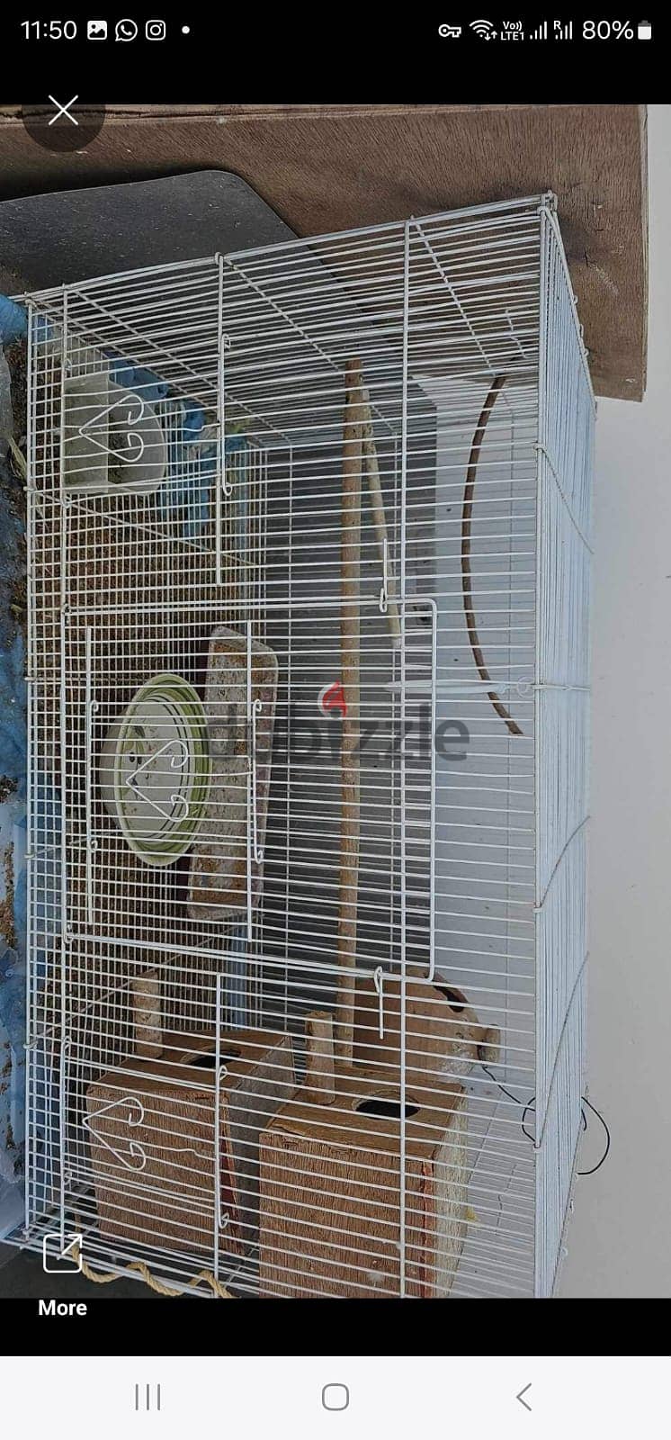 Medium cage for budgies 1