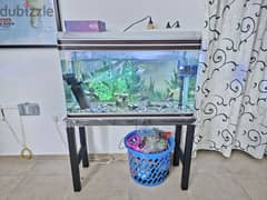 Aquarium with Steel Table